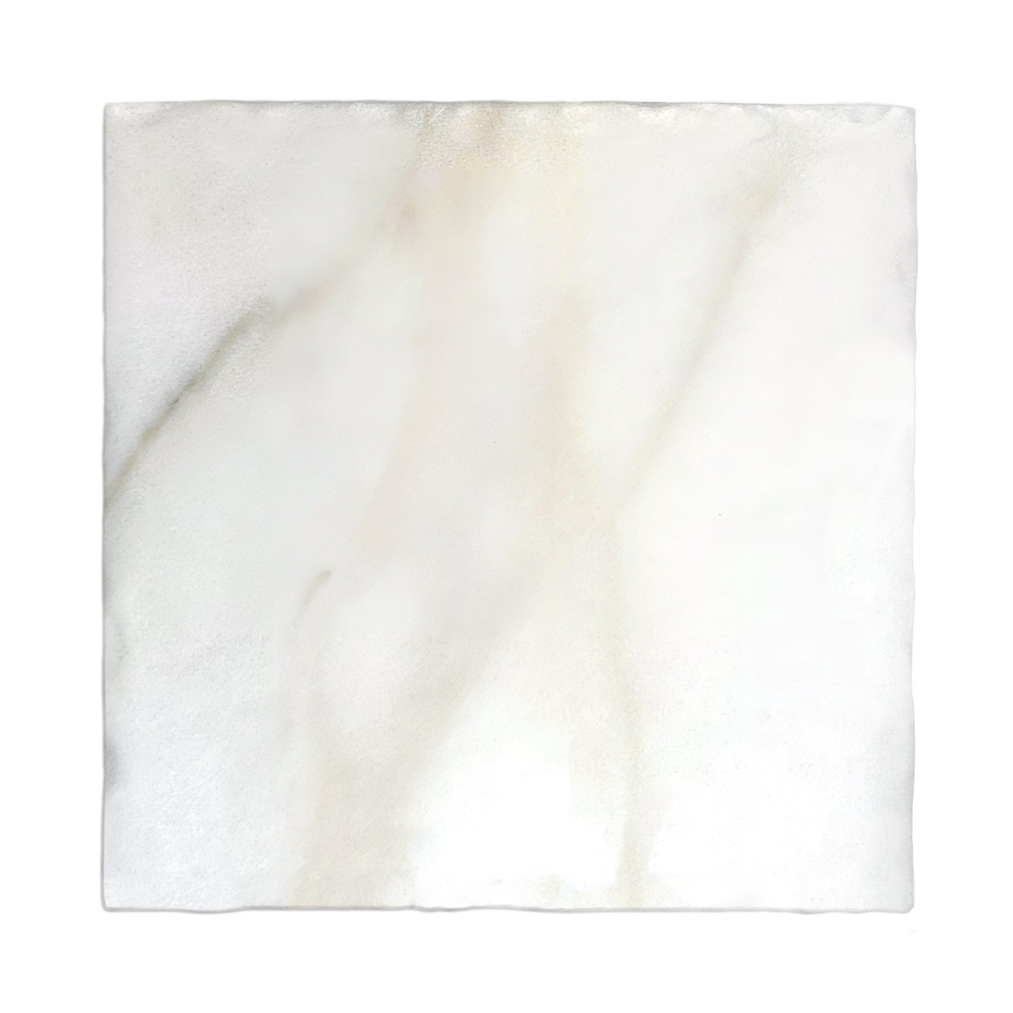 HW Tile 10x10 CalacattaConservatory Matte