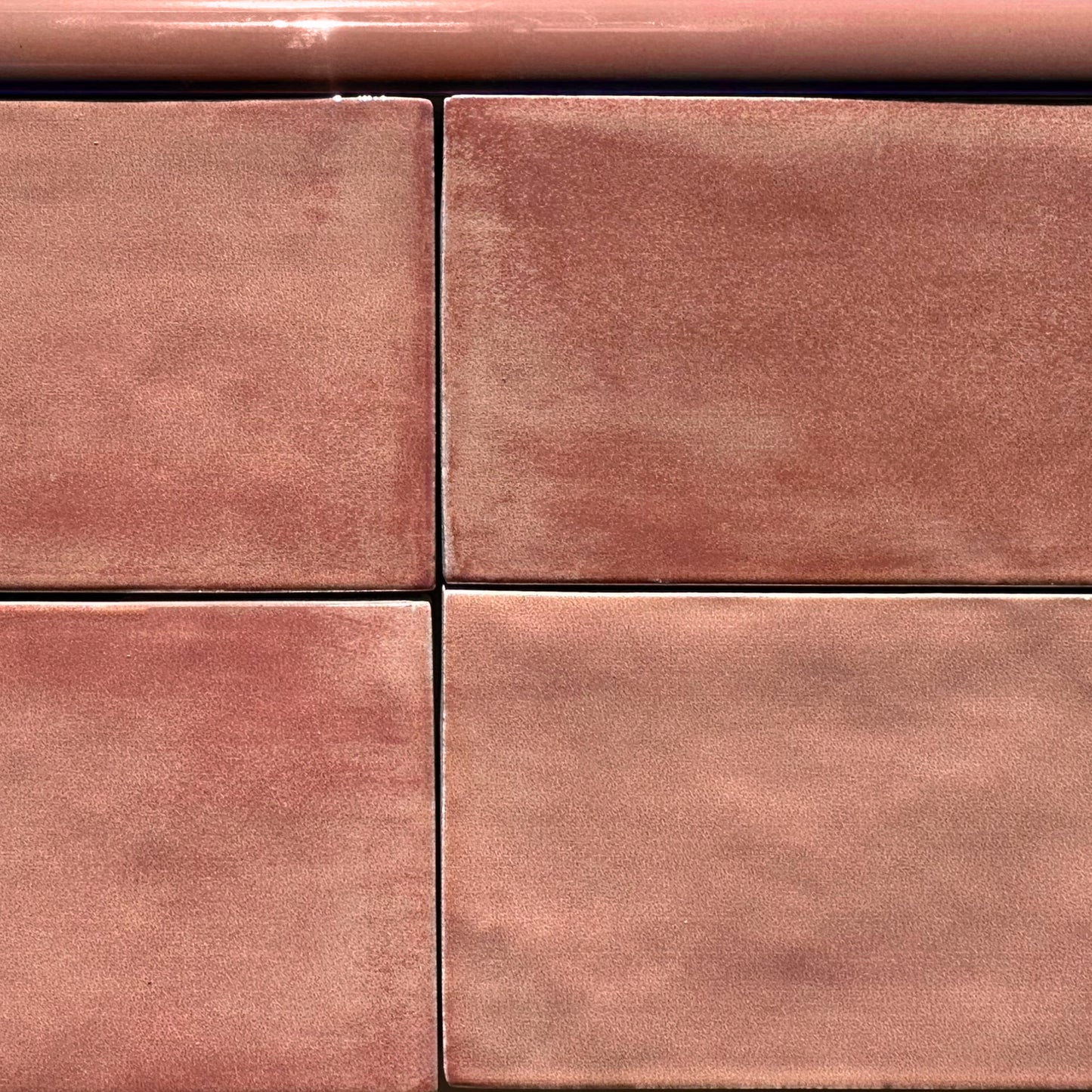 HW Tile Hand Painted Conch Tile with Trim
