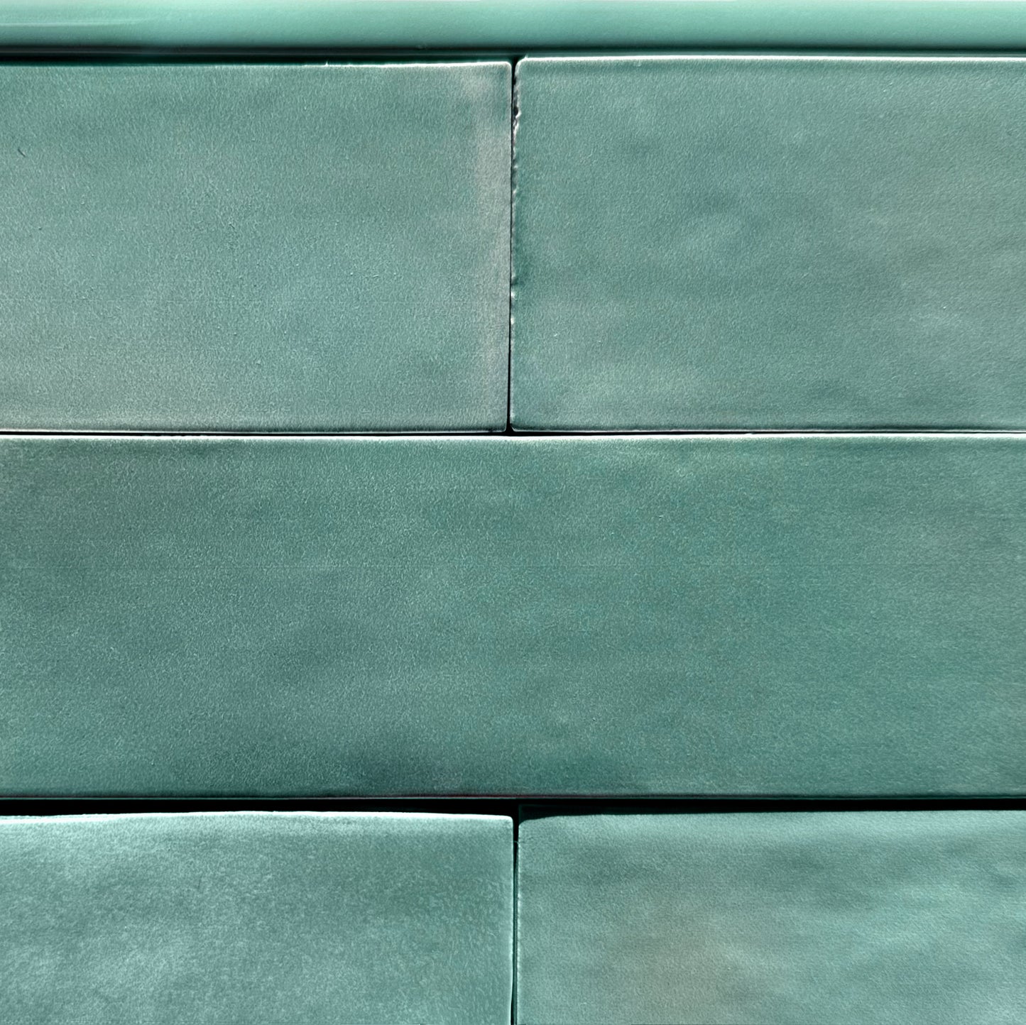HW Tile Hand Painted Kelp Tile with Trim