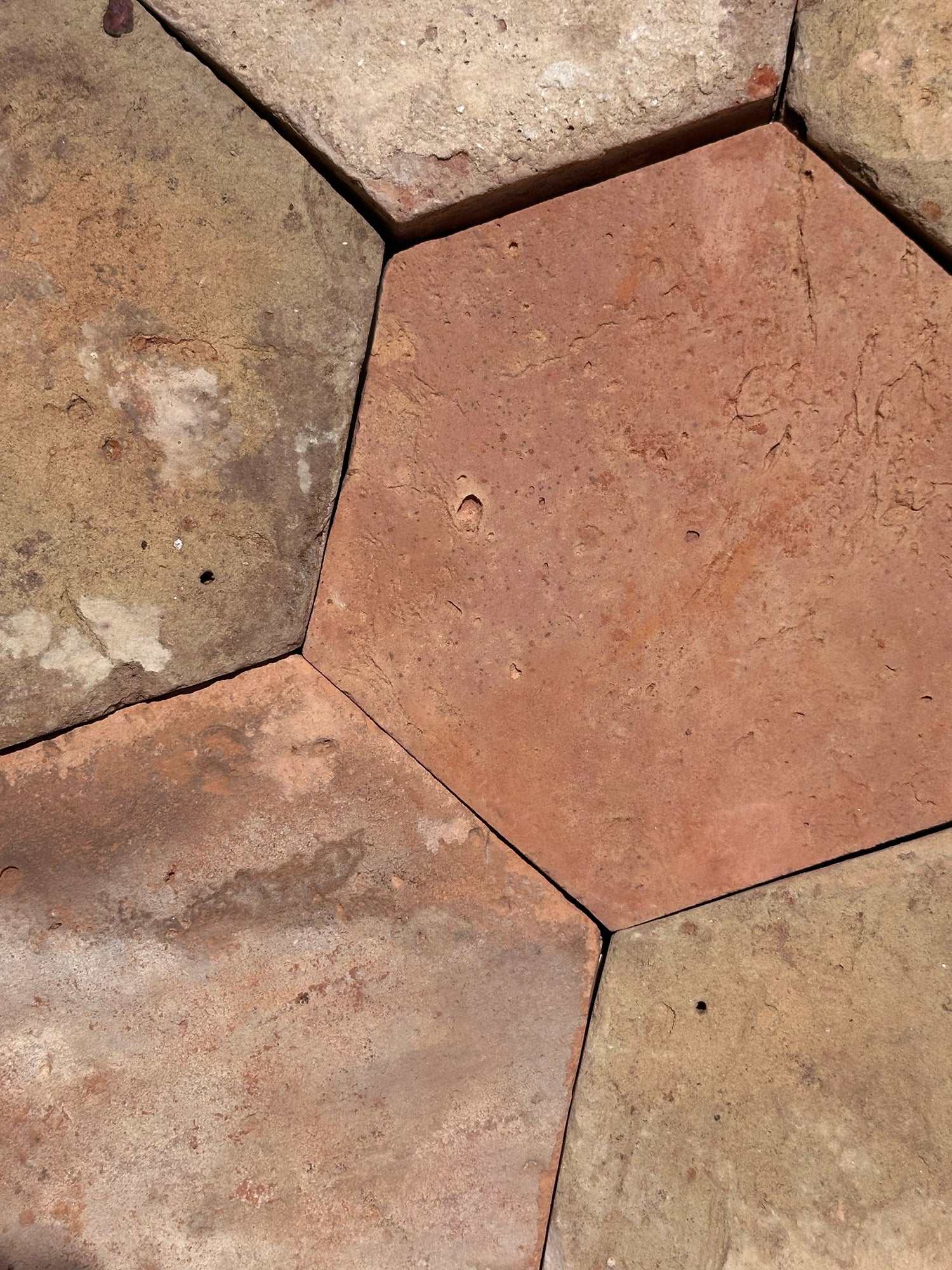 Terracotta