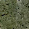 Verte