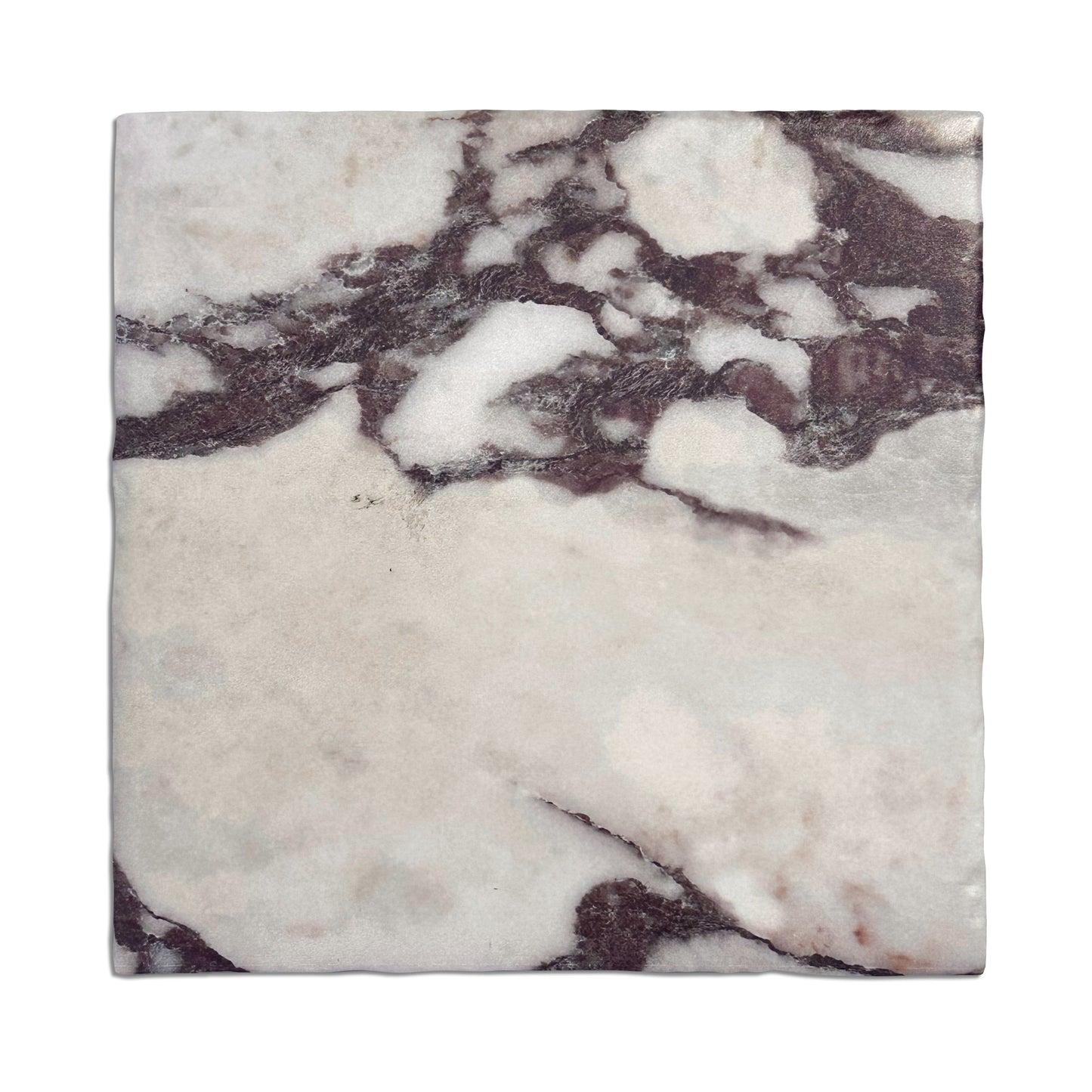 HW Tile 10x10 Conservatory Calacatta Viola