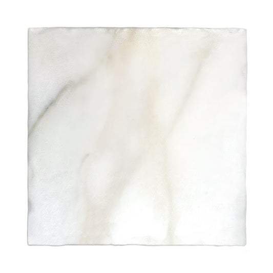 HW Tile 10x10 CalacattaConservatory Matte