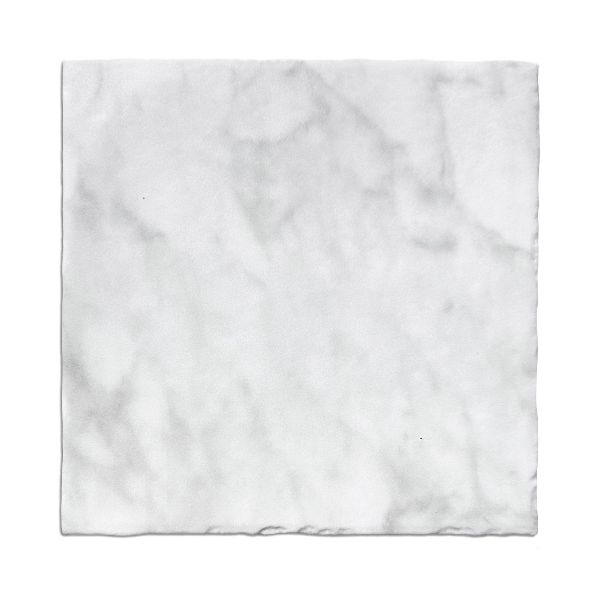 HW Tile 10x10 Conservatory White Carrara