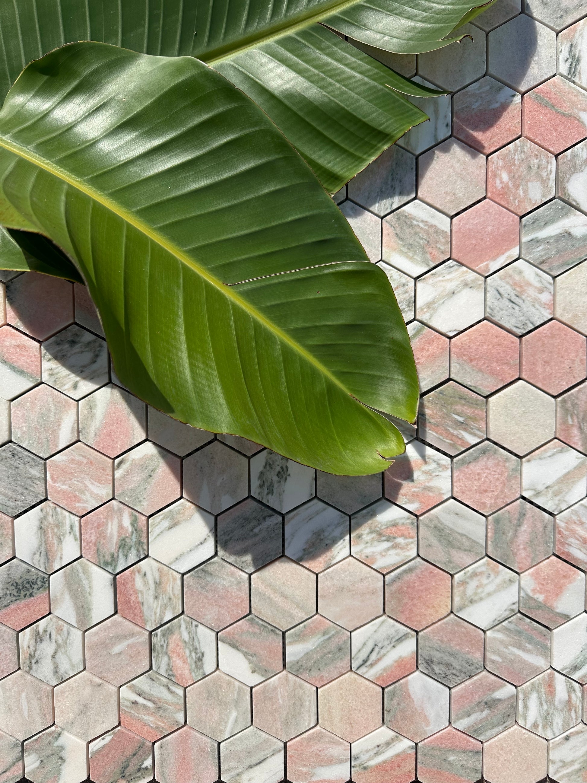HW Tile Marble Mosaic 2 inch Rosa Hexagon Honed