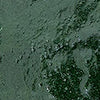 Deep Green