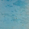 Sea Blue